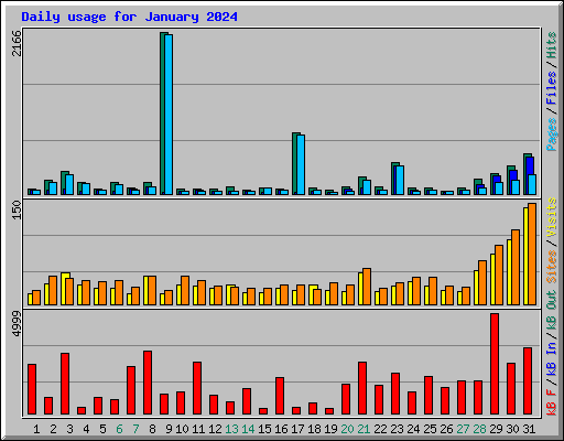 Daily usage for January 2024