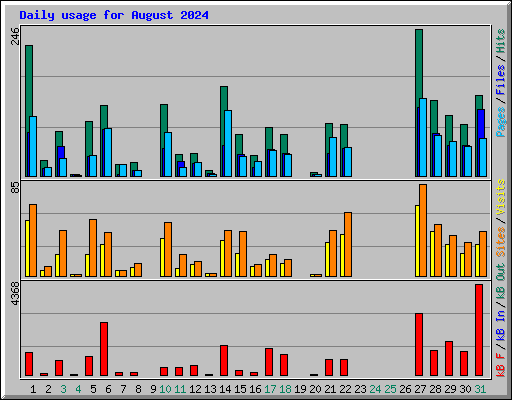 Daily usage for August 2024