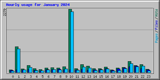 Hourly usage for January 2024