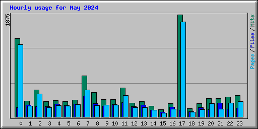 Hourly usage for May 2024