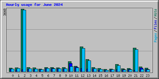 Hourly usage for June 2024