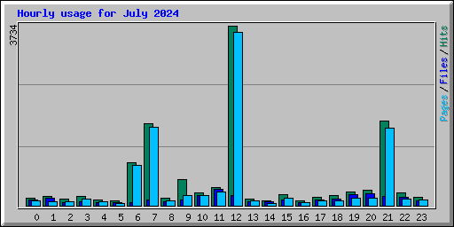 Hourly usage for July 2024