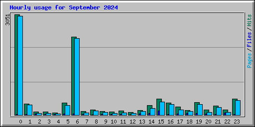 Hourly usage for September 2024