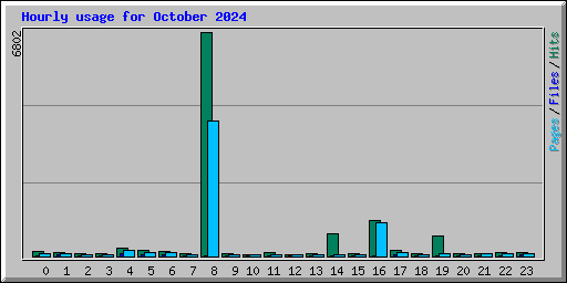 Hourly usage for October 2024